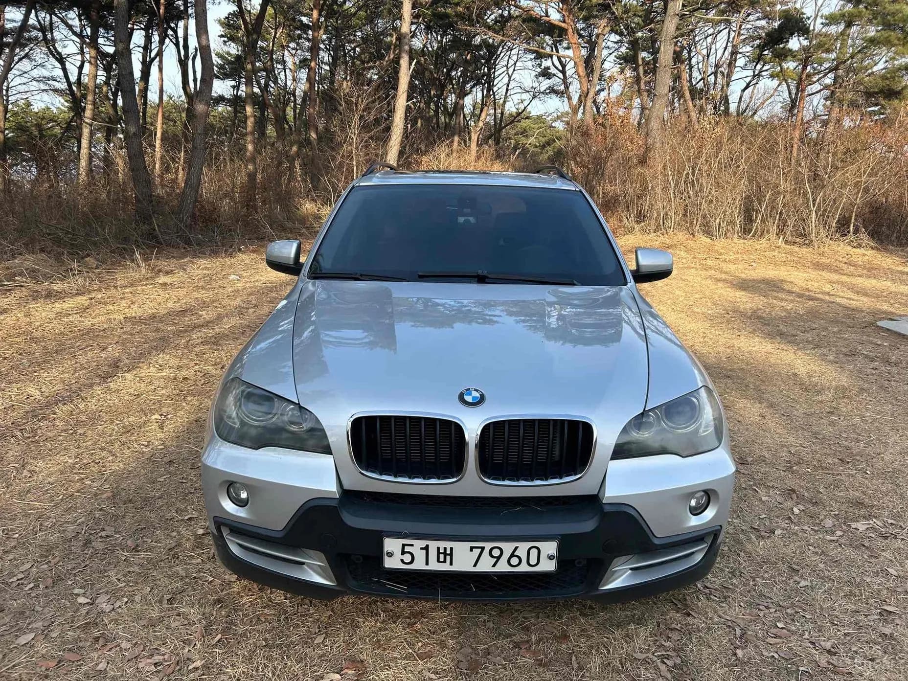 X5 (E70)