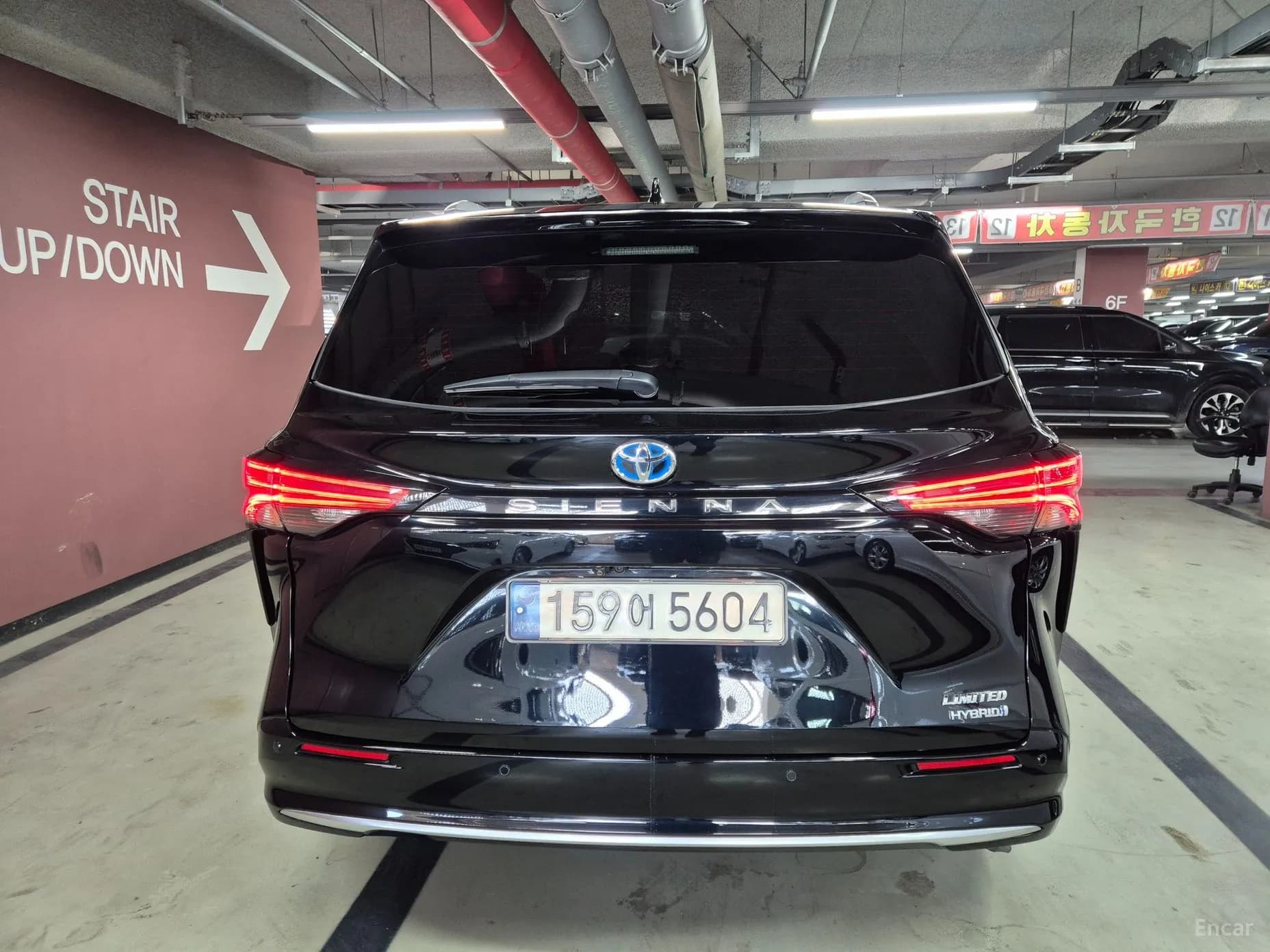 Siena 4th generation