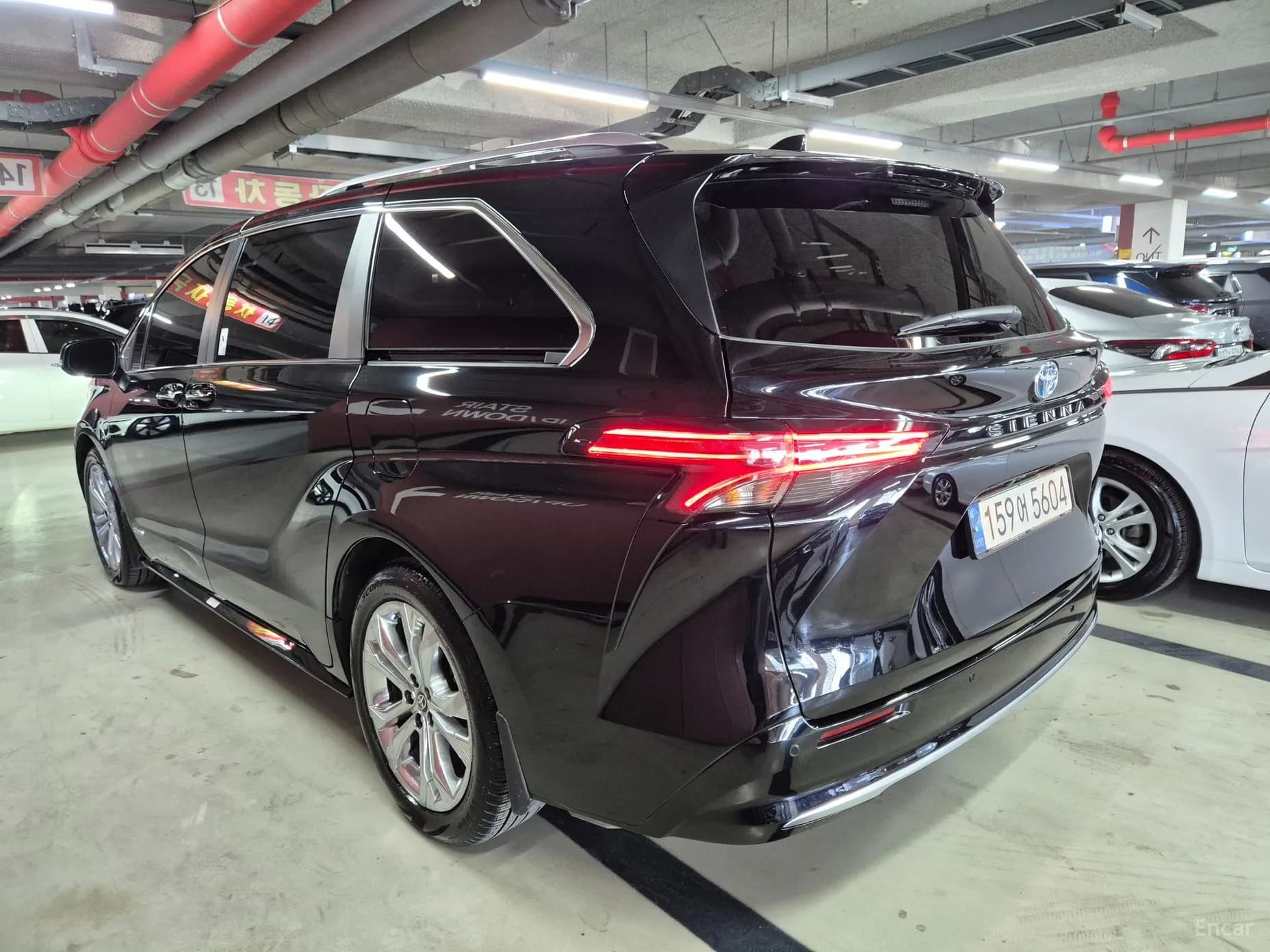 Siena 4th generation