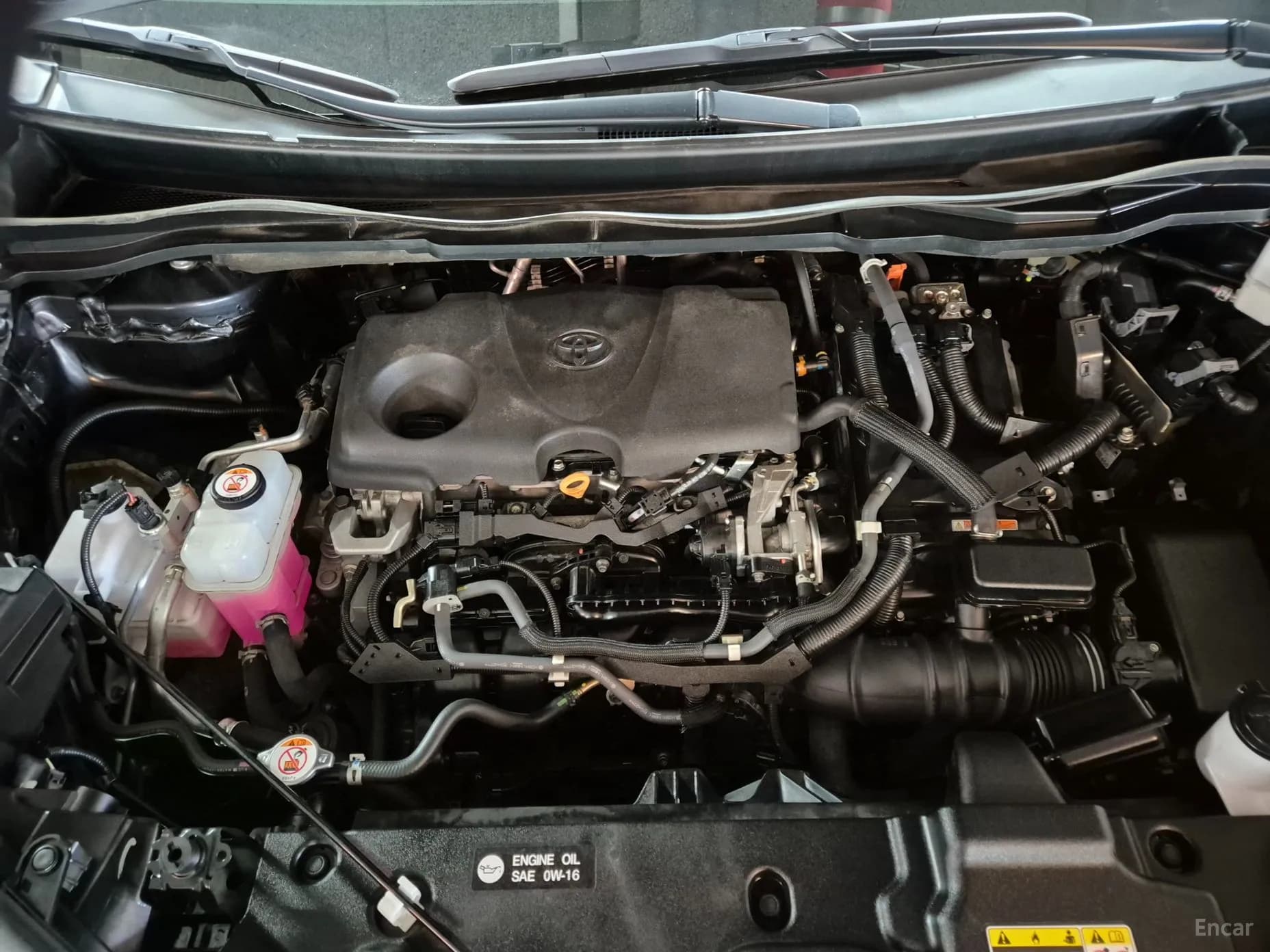 Siena 4th generation