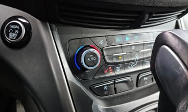 Cougar 2nd Generation