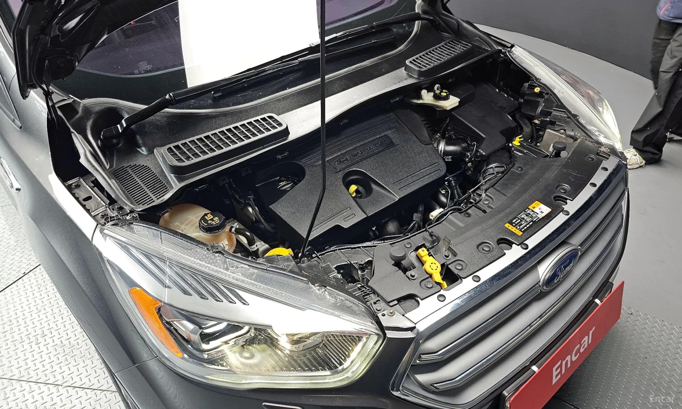 Cougar 2nd Generation