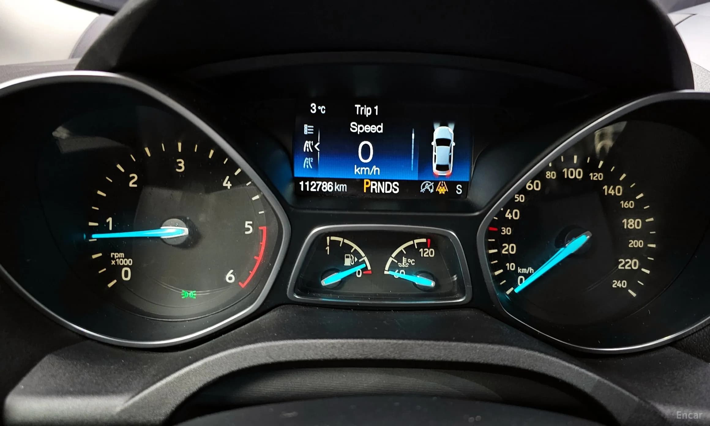 Cougar 2nd Generation