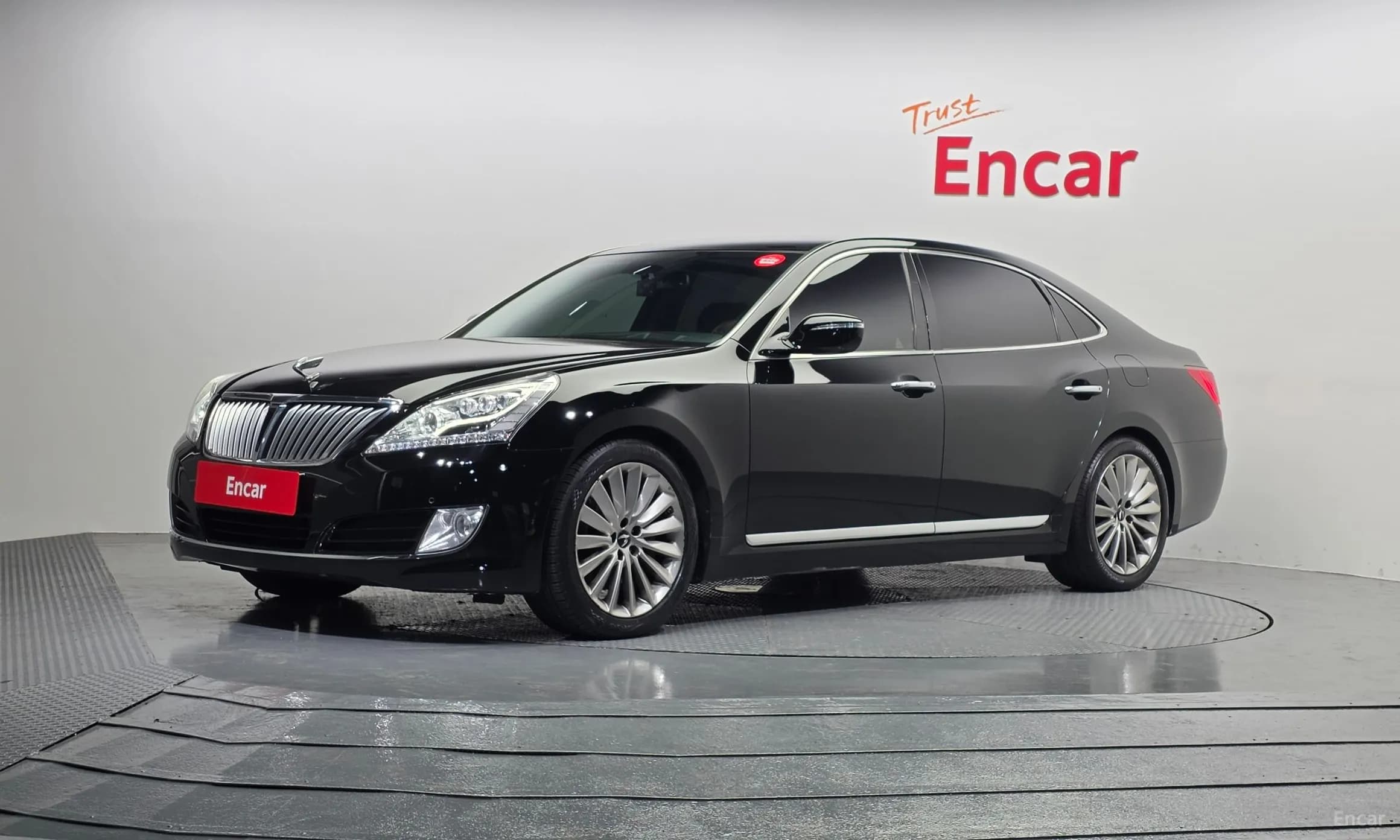 Equus (new)