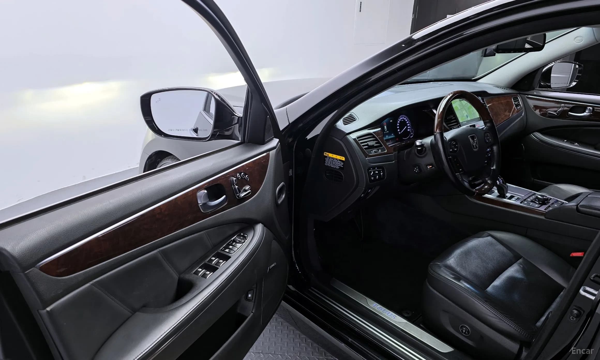 Equus (new)