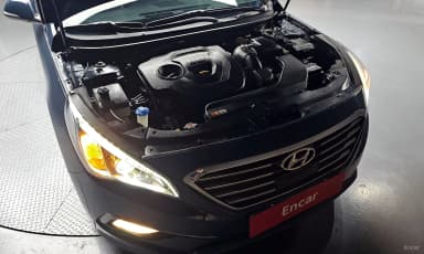 LF Sonata