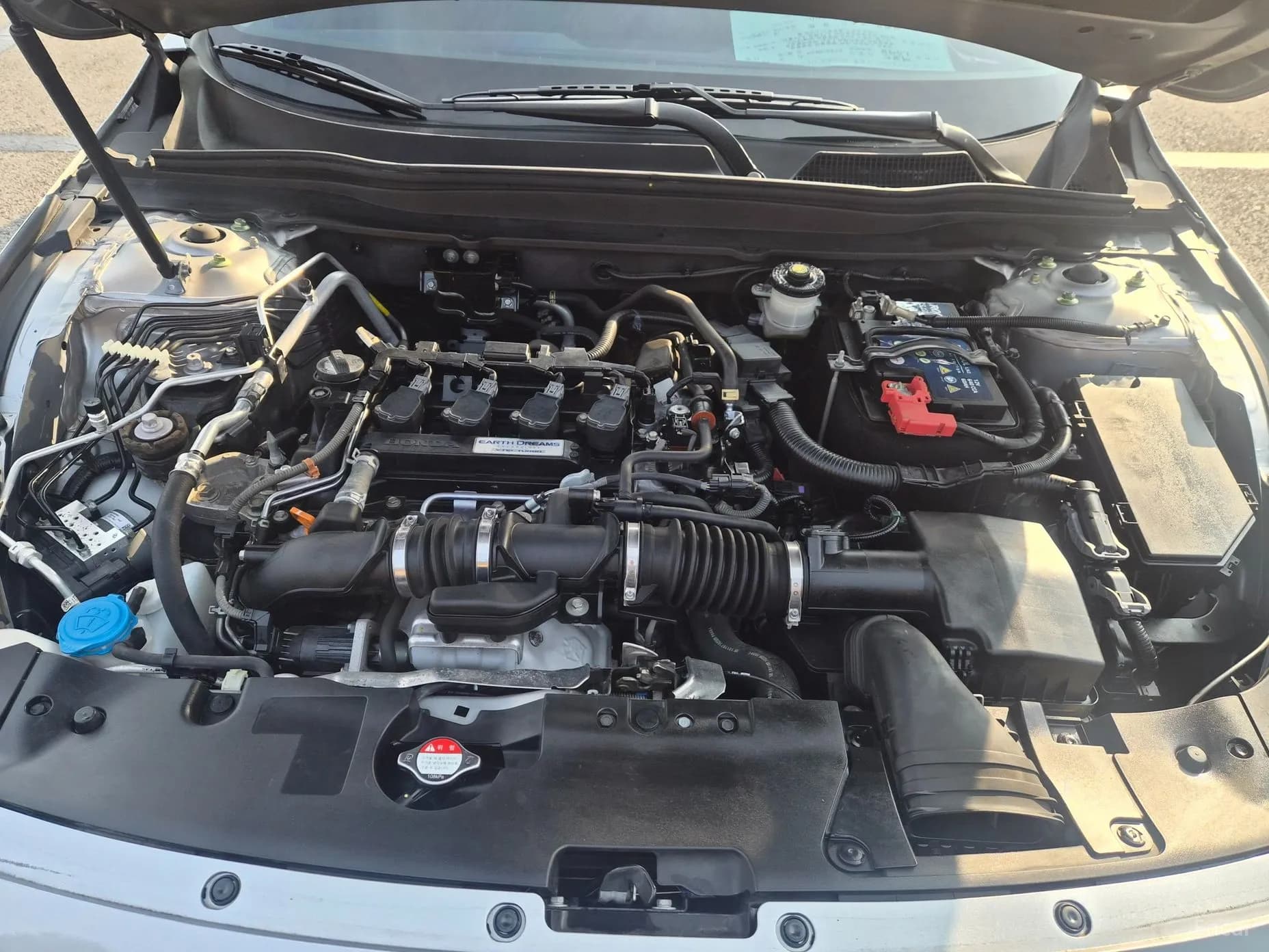 Accord 10th Generation