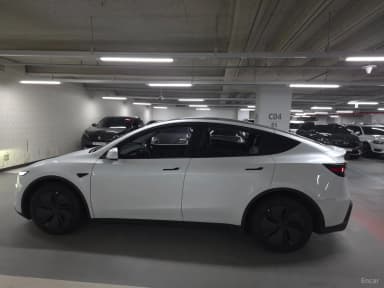 Model Y