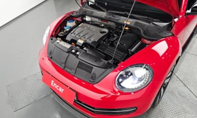 The Beetle