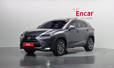 NX300h