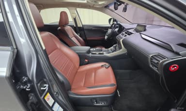 NX300h
