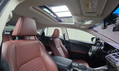 NX300h