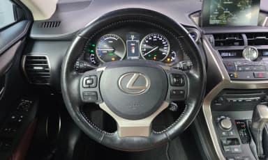 NX300h