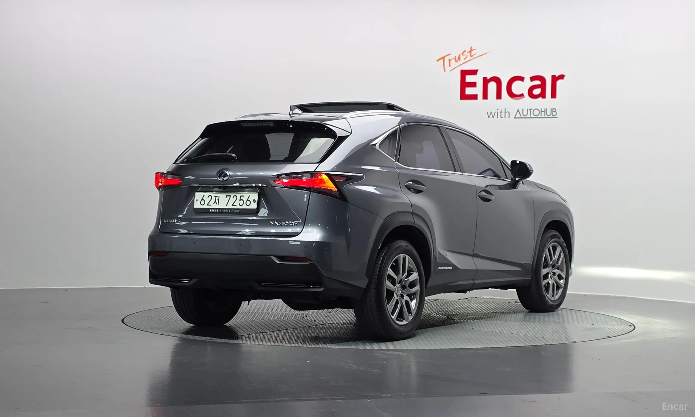 NX300h