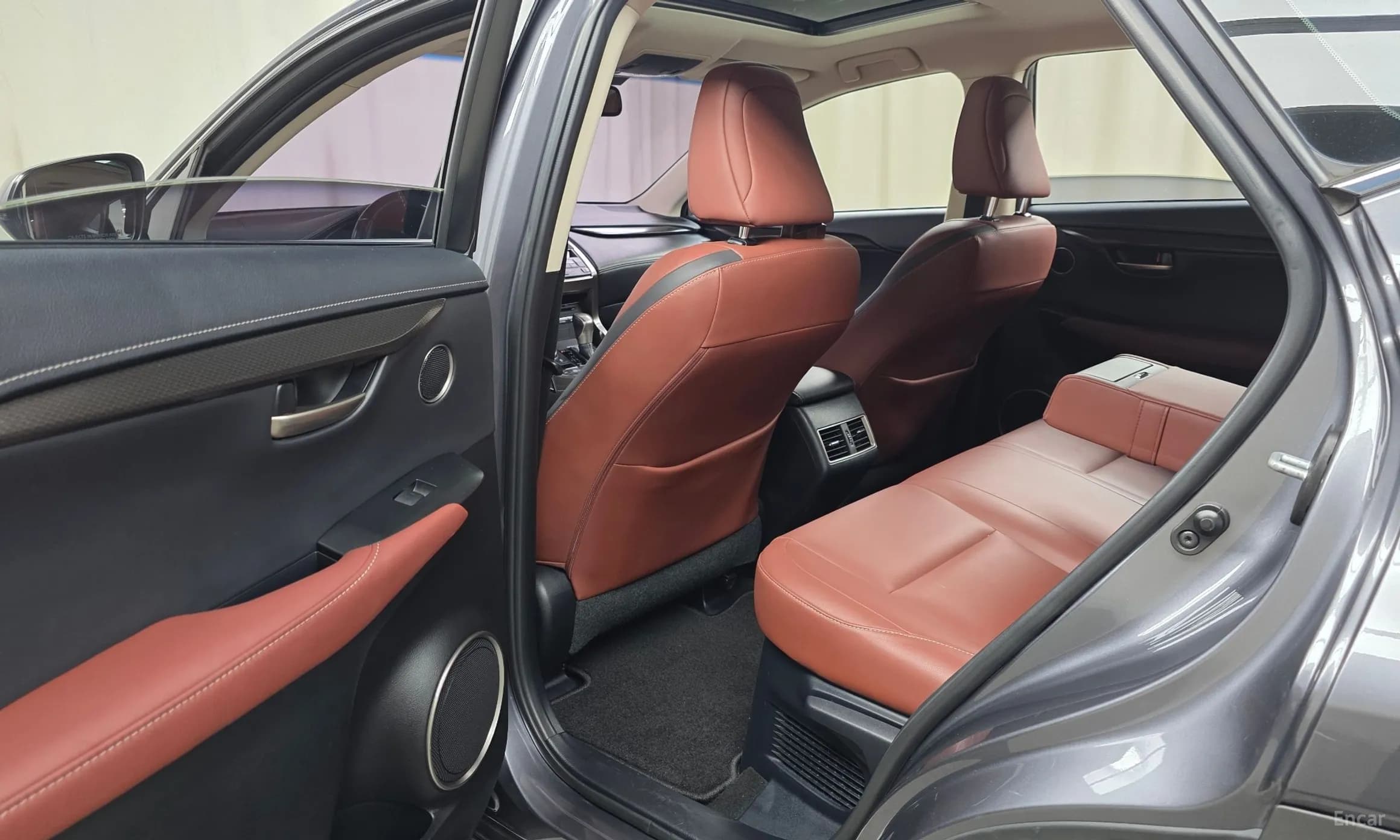NX300h