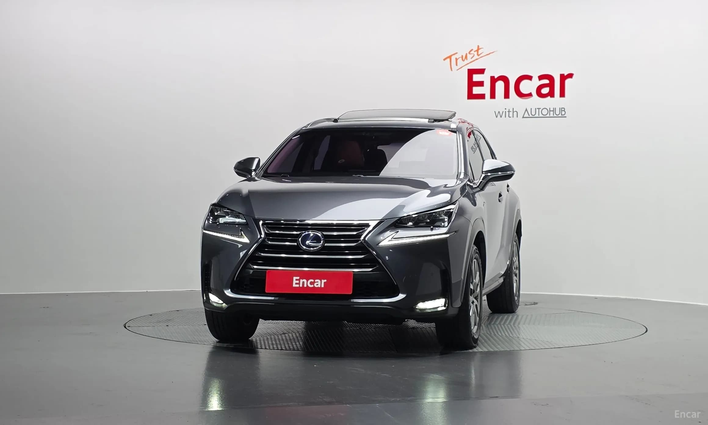NX300h