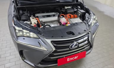 NX300h