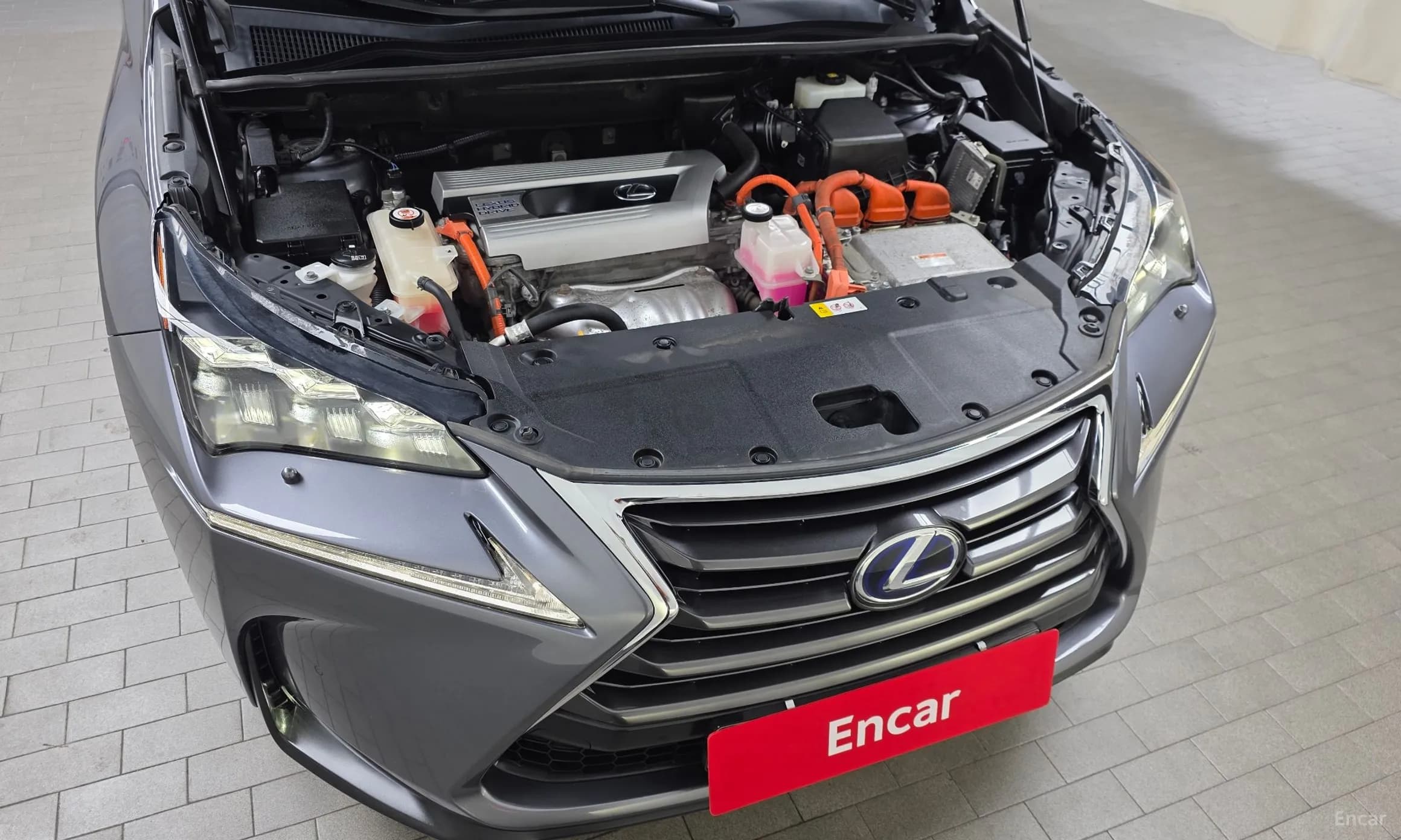 NX300h