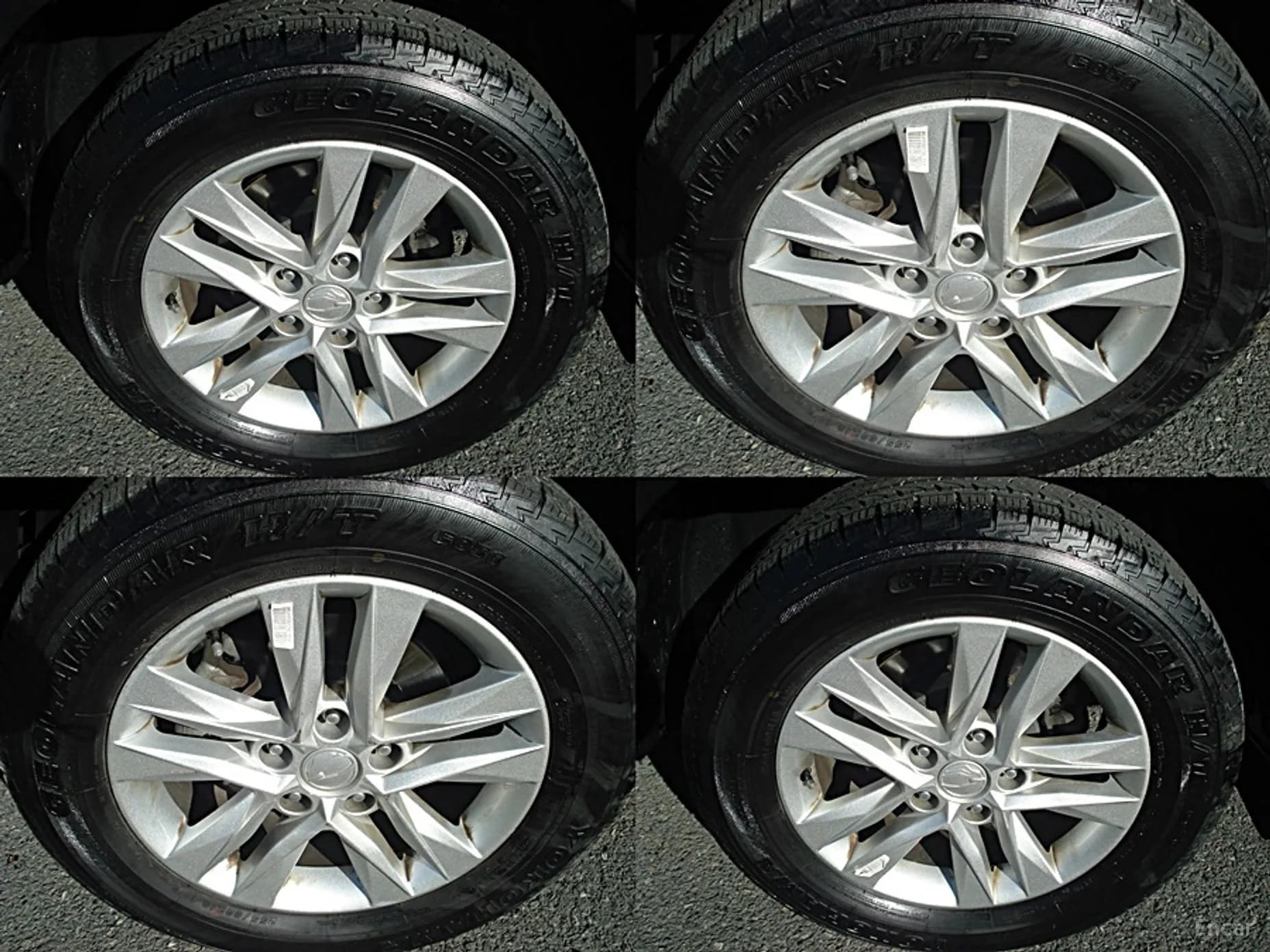 Rexton Sports Khan