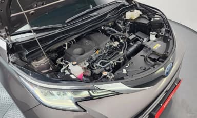 Siena 4th generation