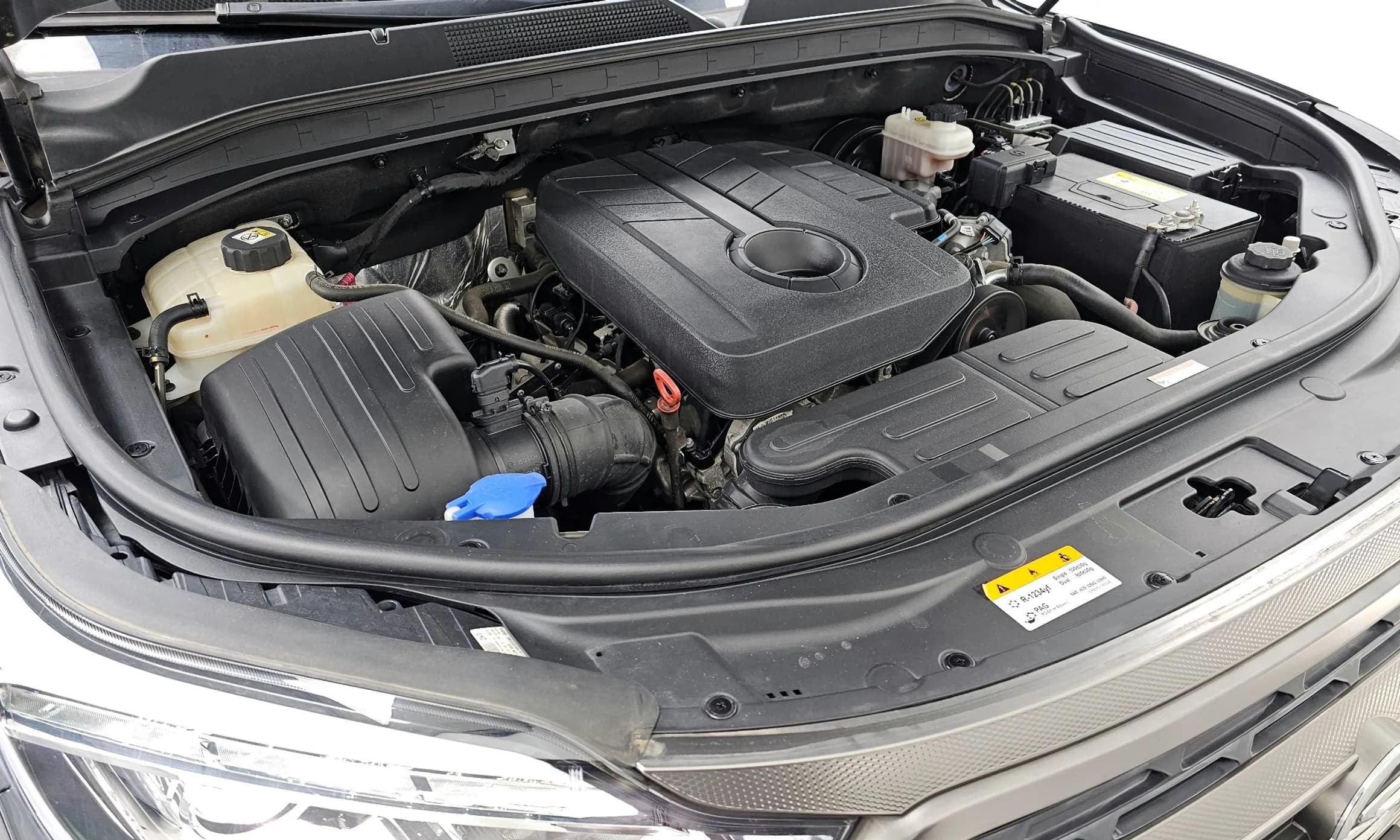 Rexton Sports