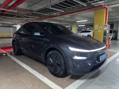 Model Y
