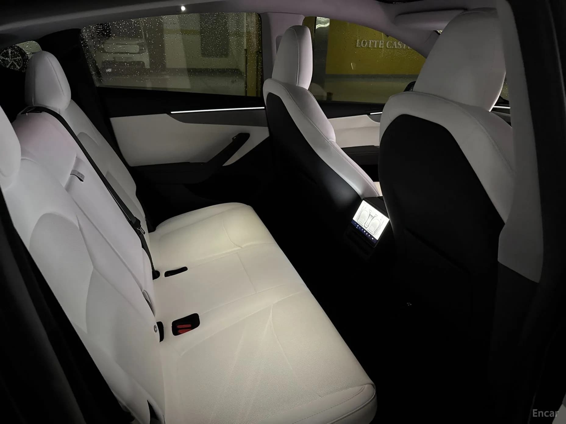 Model Y