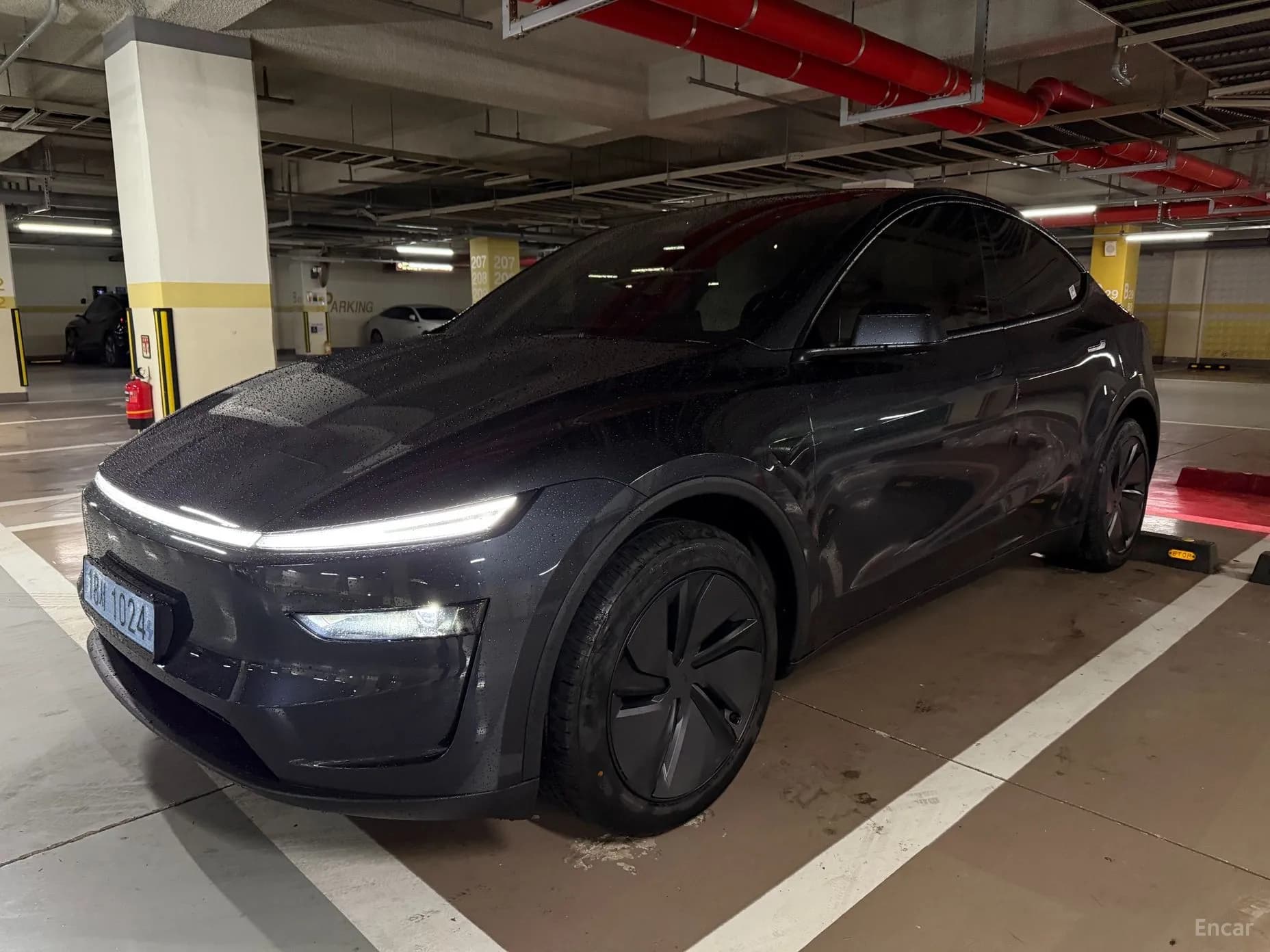 Model Y