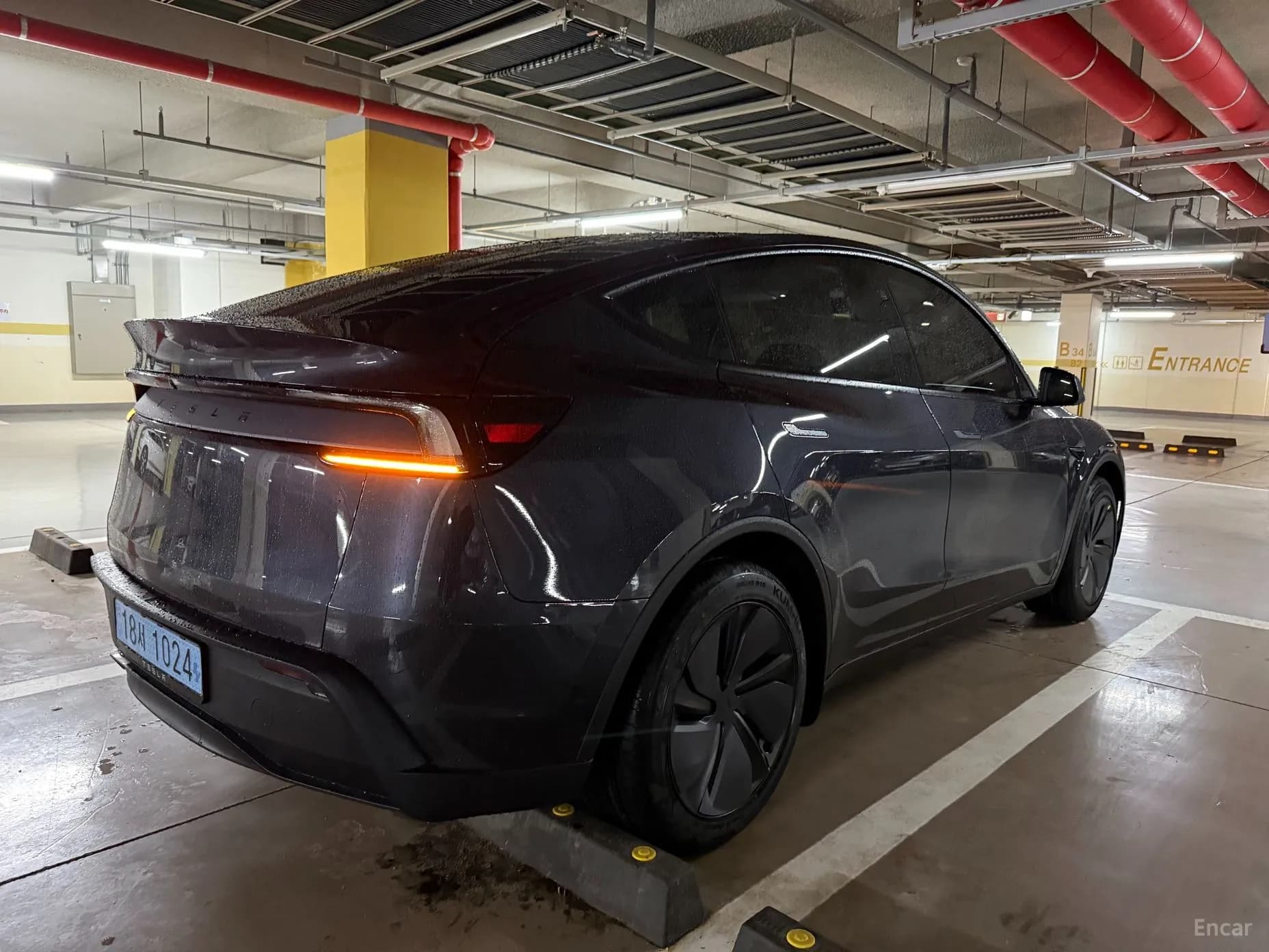 Model Y