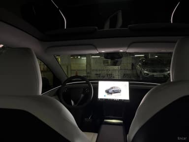 Model Y