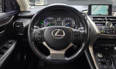 NX300h