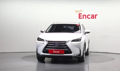 NX300h
