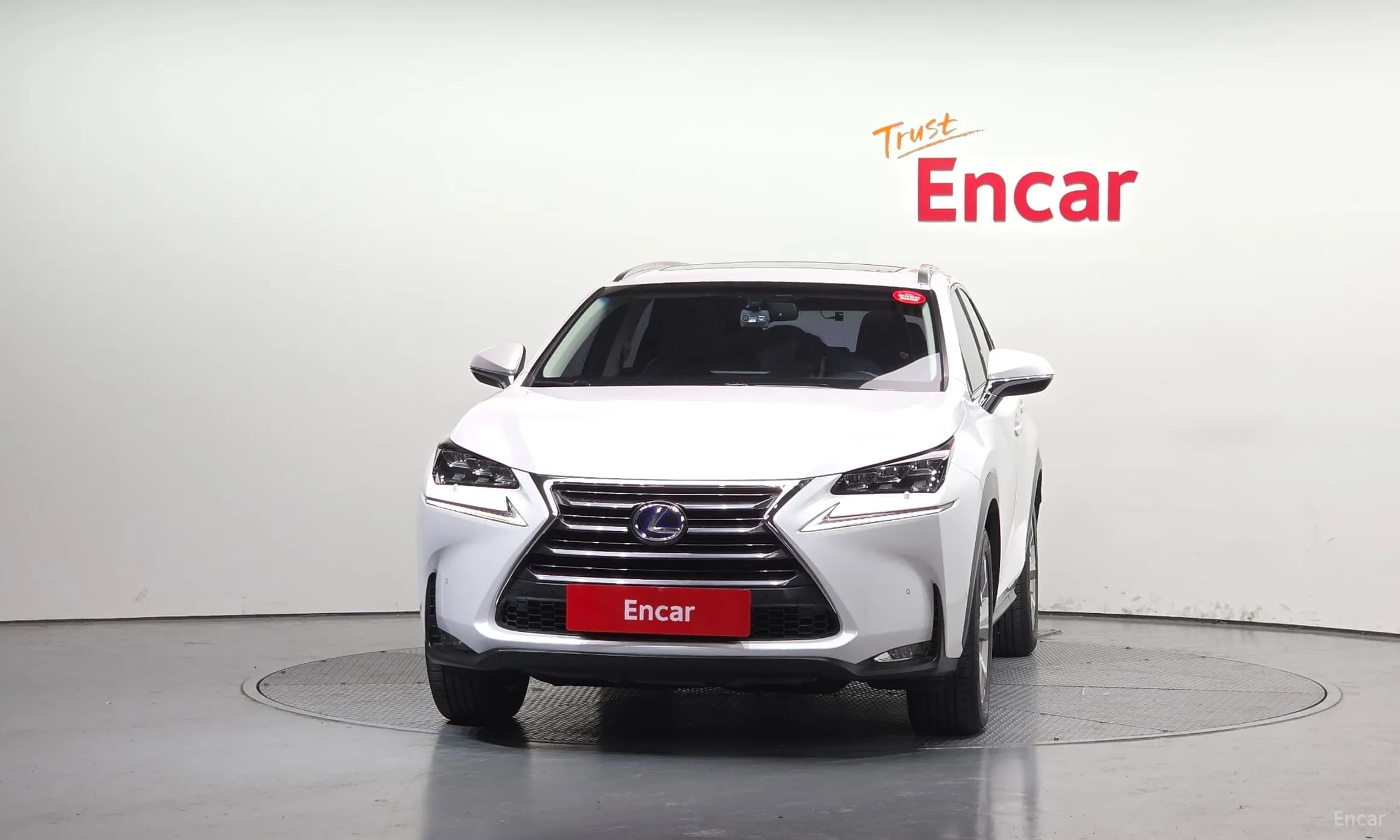 NX300h