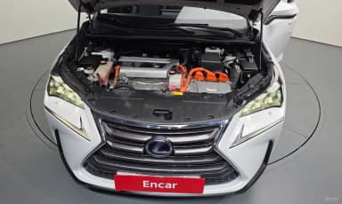 NX300h