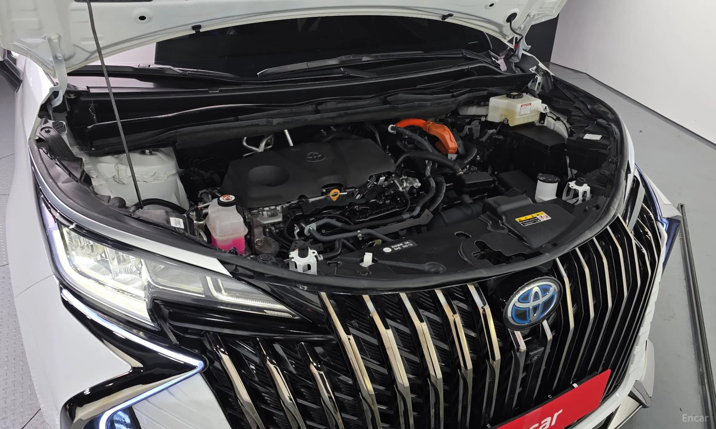 Siena 4th generation