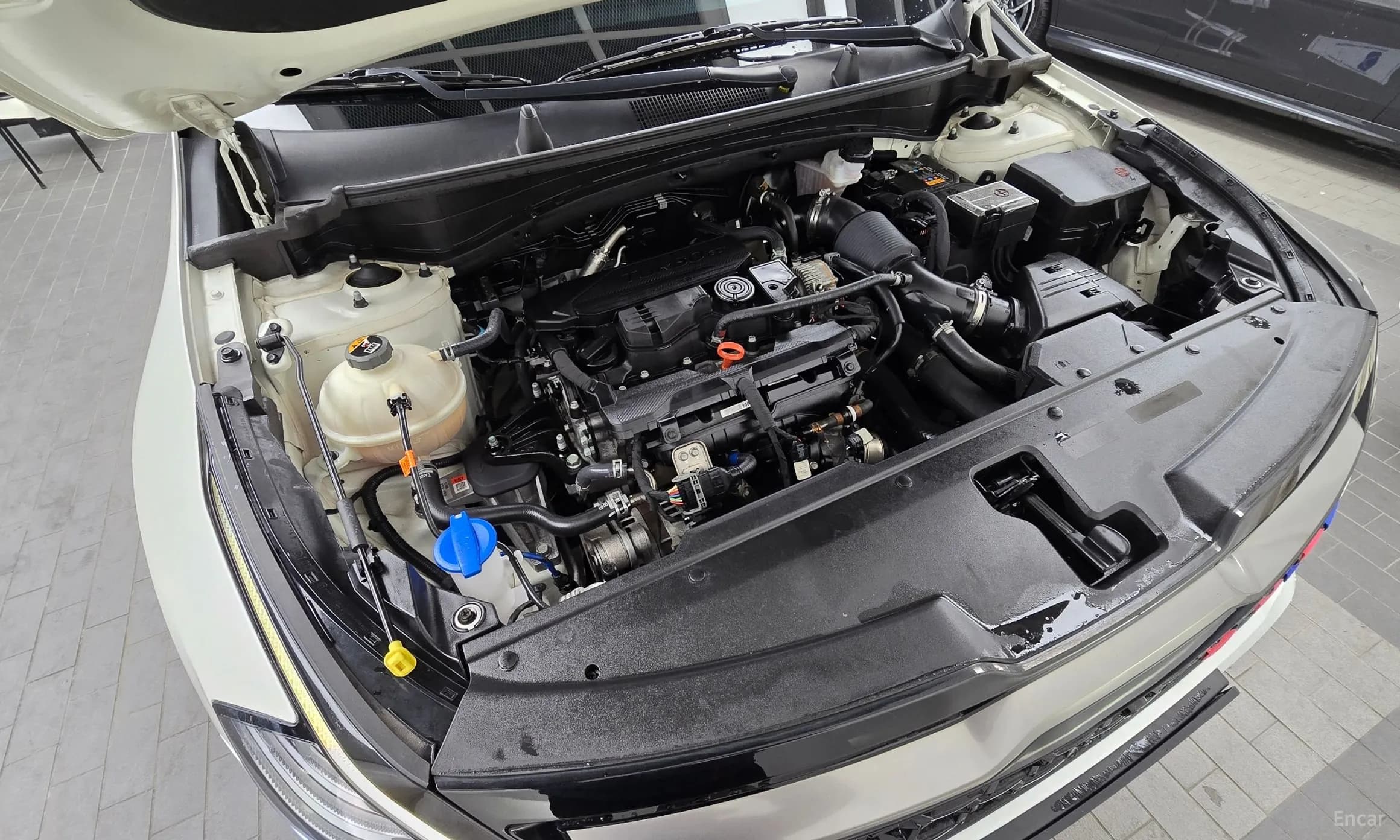 Sportage 5th Generation