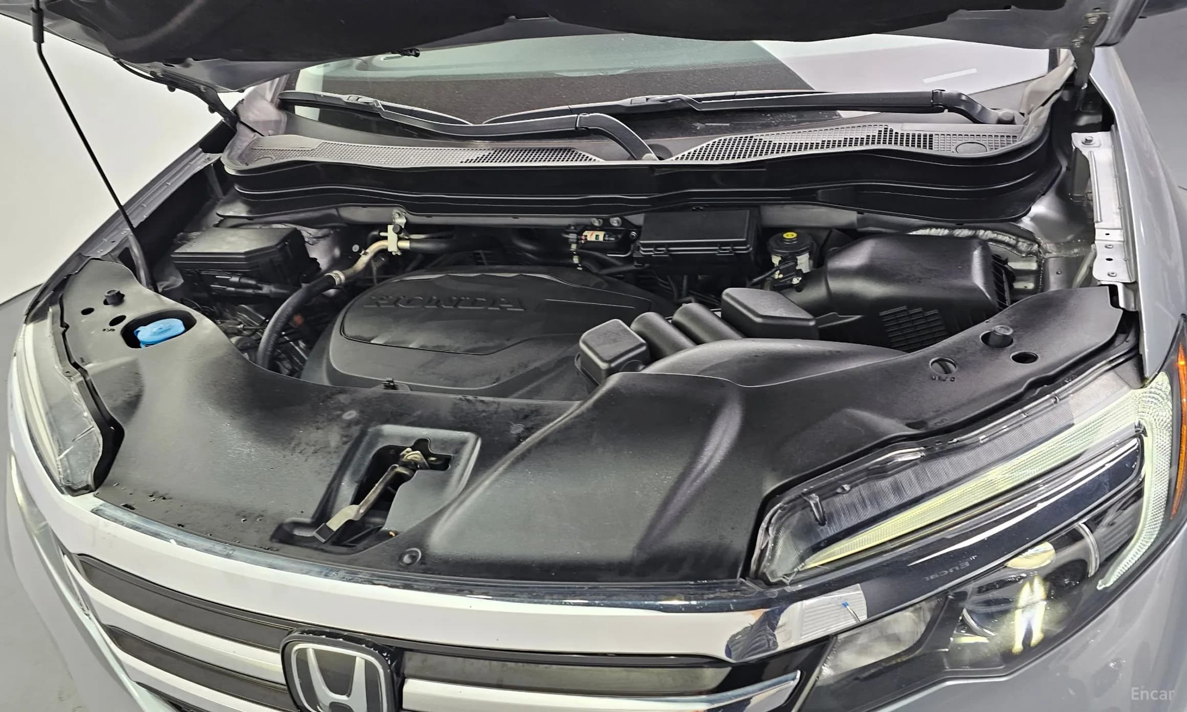 Pilot 3rd Generation