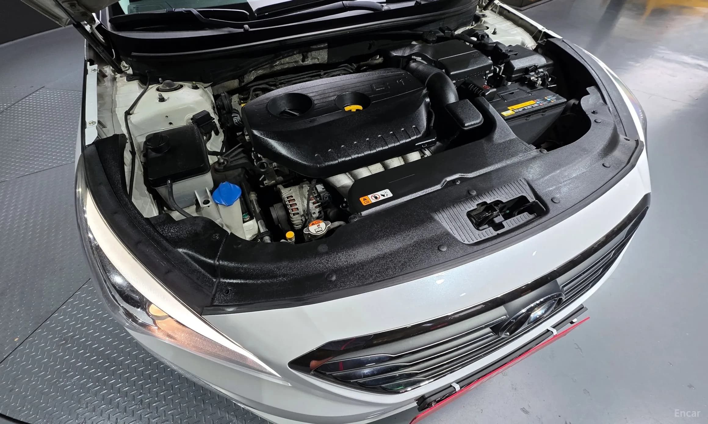 LF Sonata