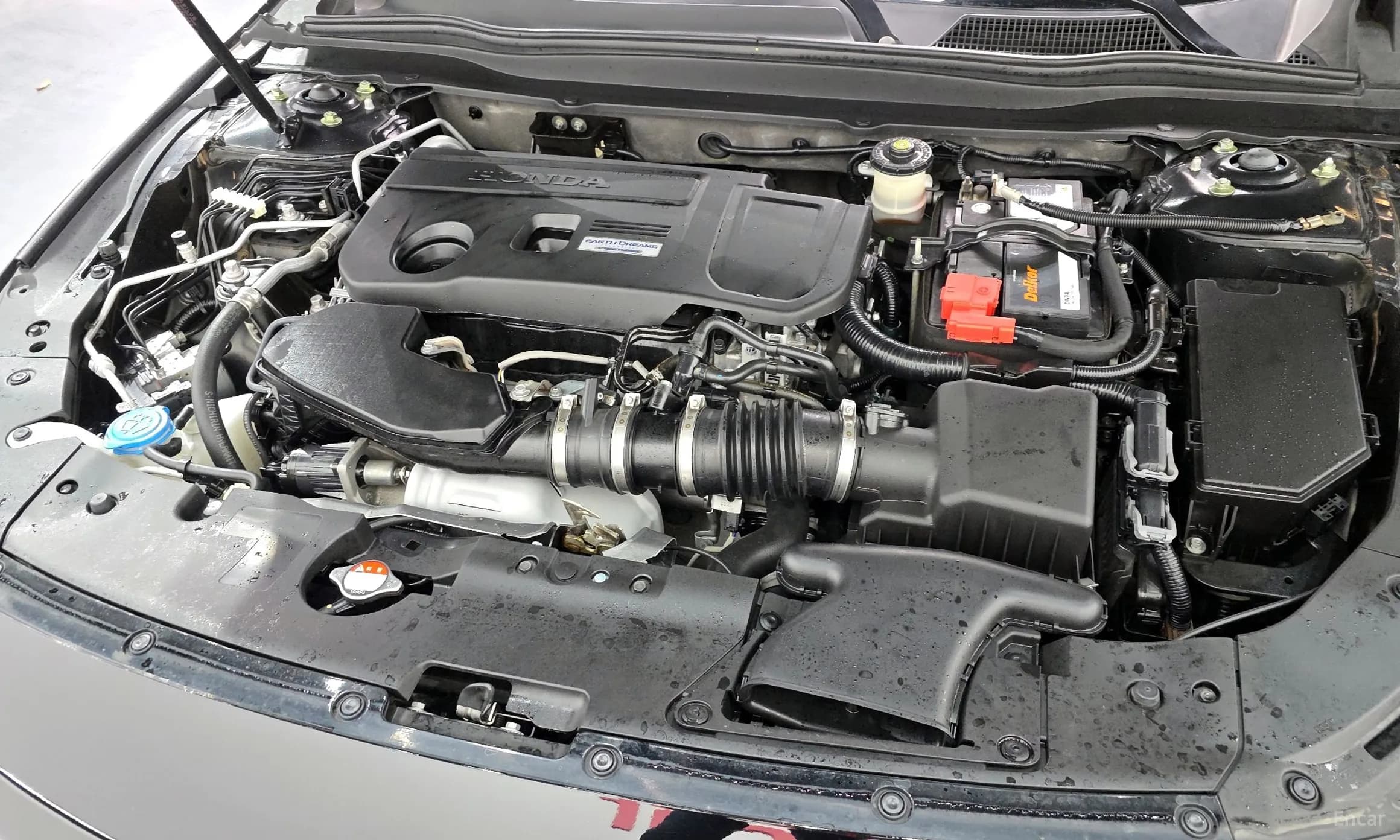 Accord 10th Generation