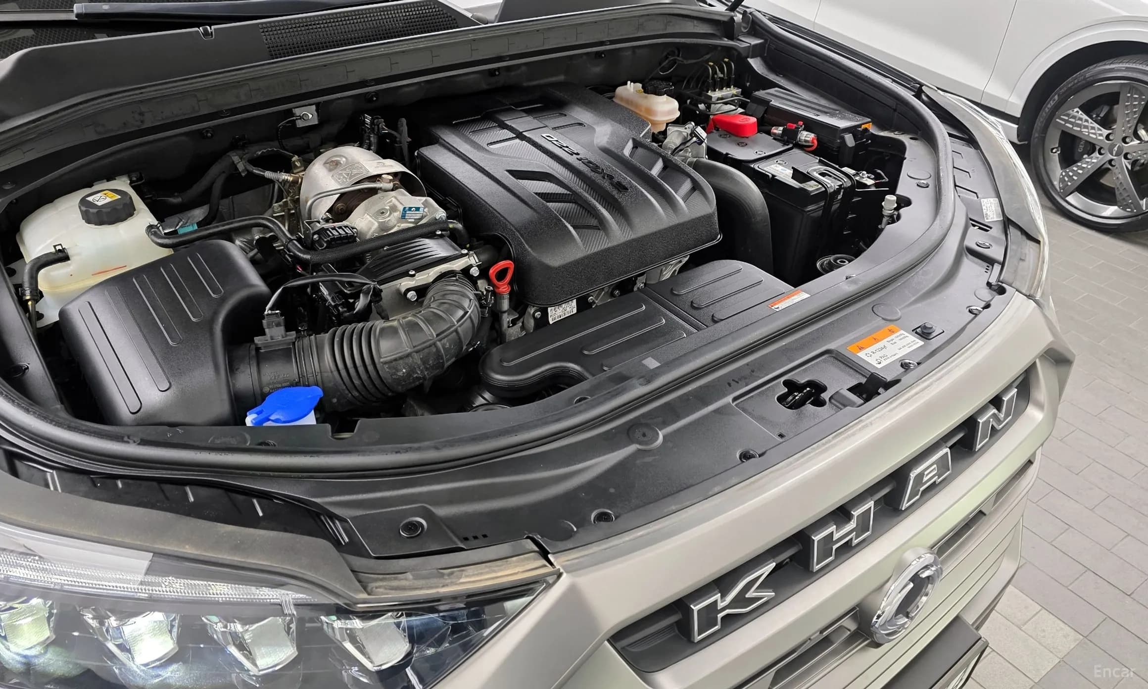 Rexton Sports Khan