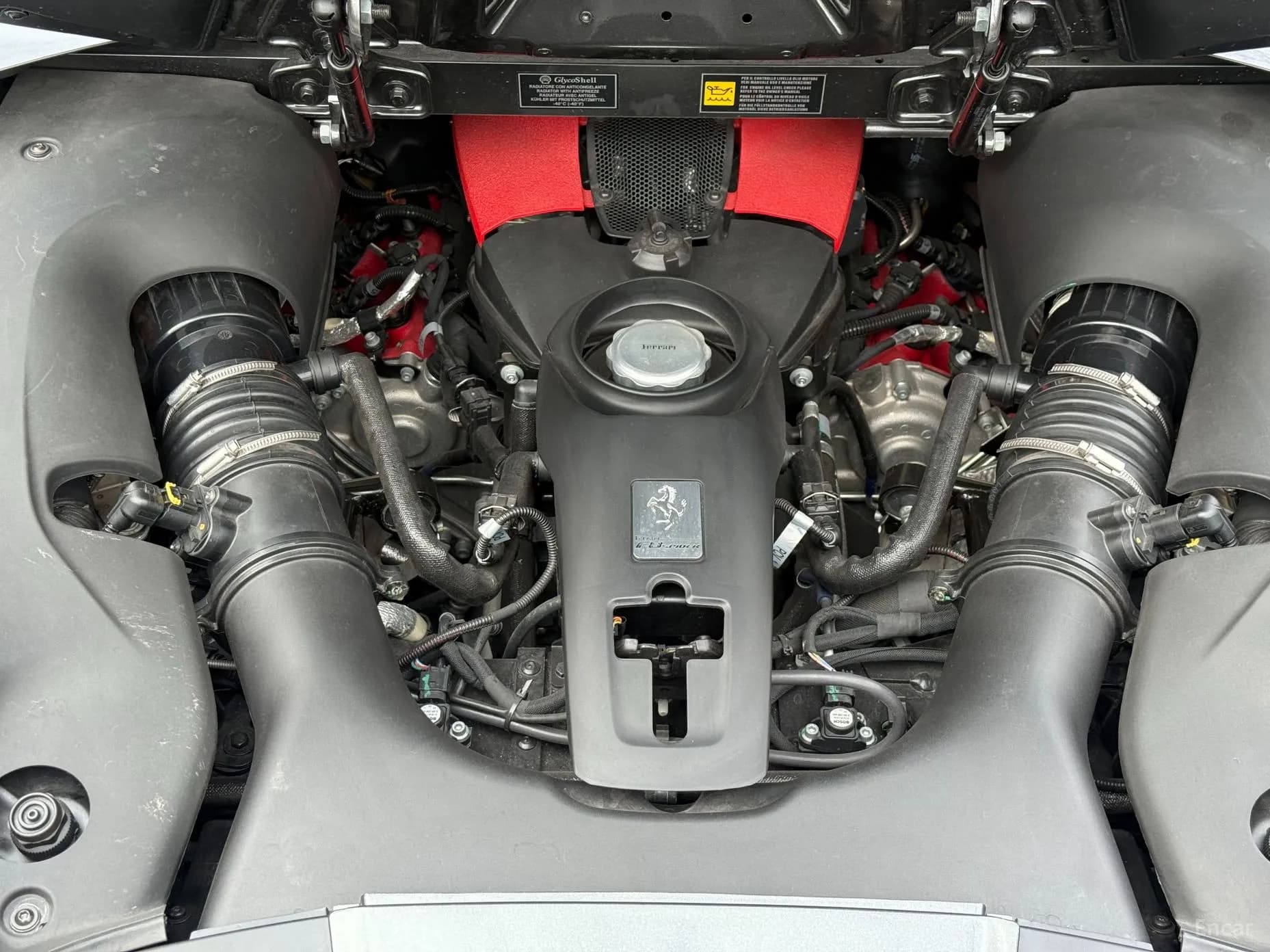 F8 Spider