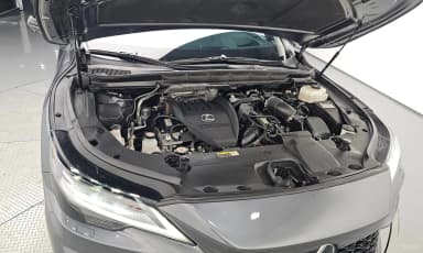 RX500h 5th Generation