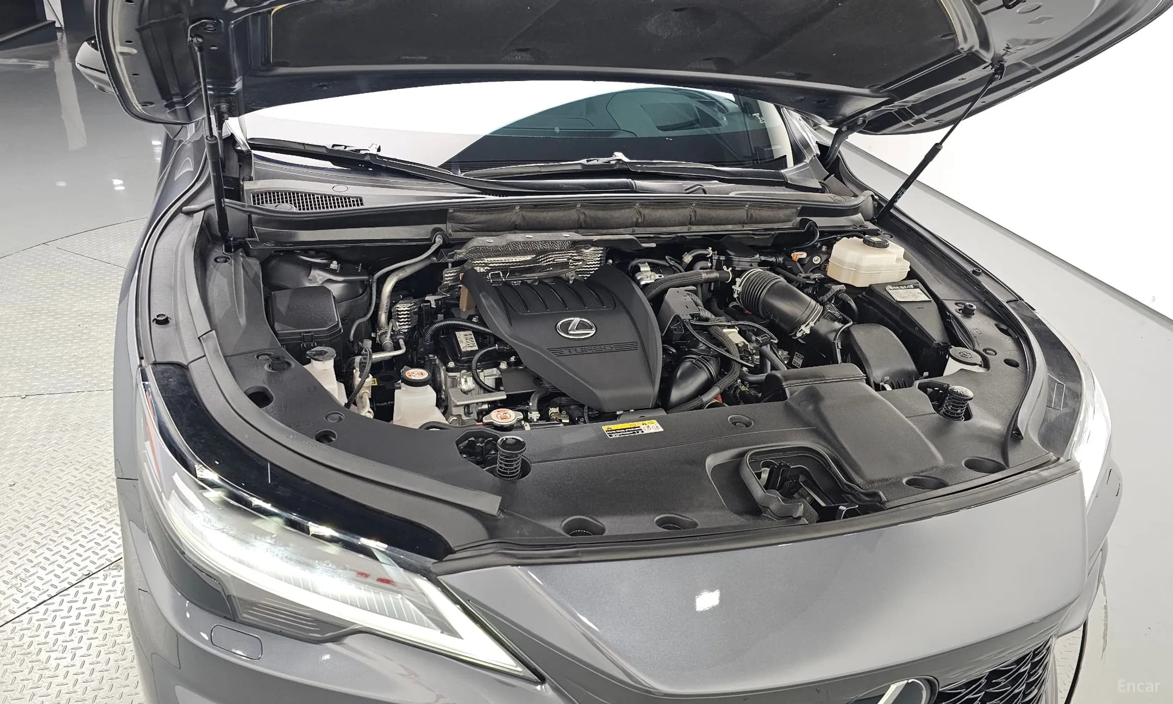 RX500h 5th Generation