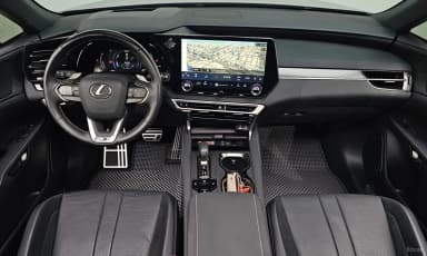 RX500h 5th Generation