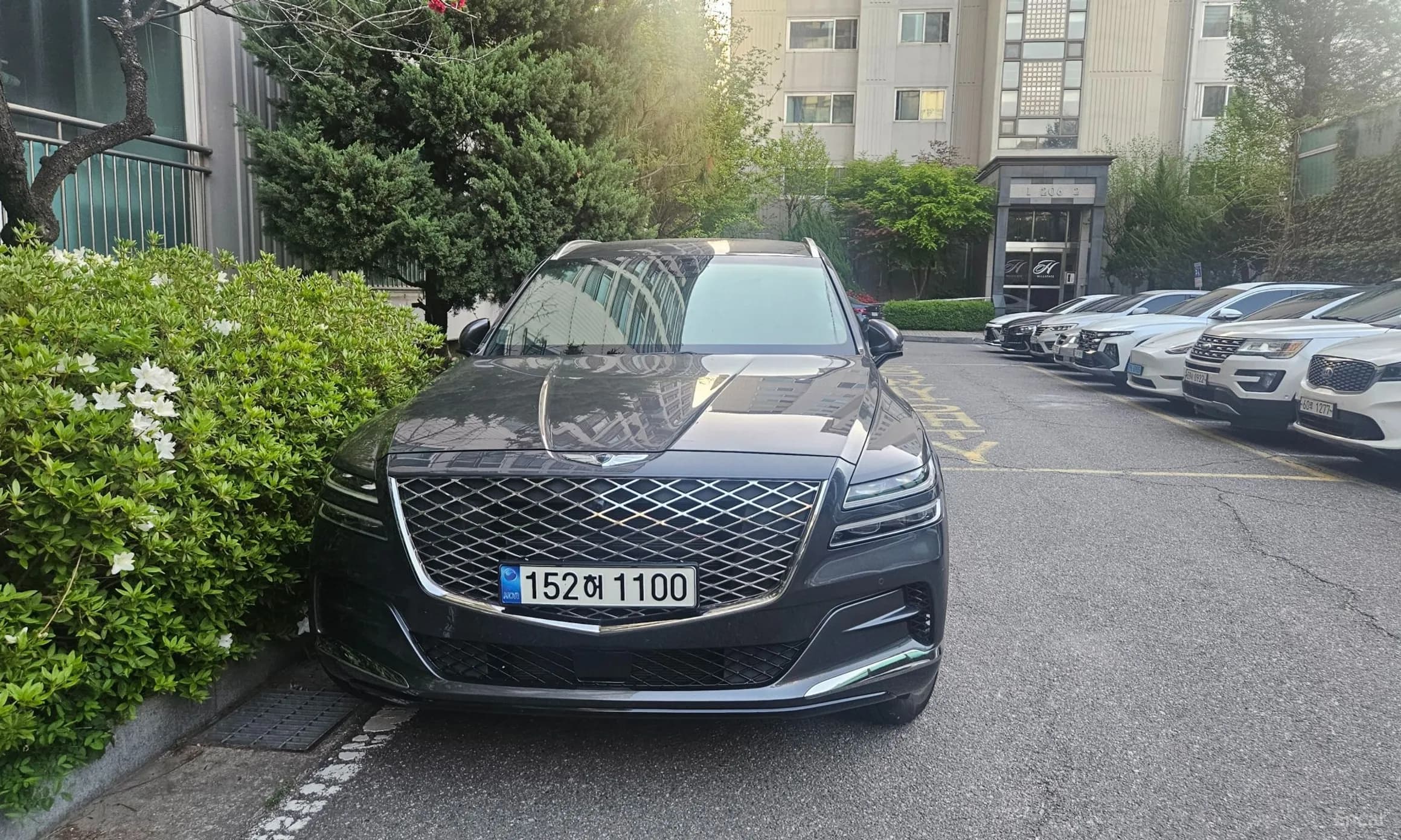 GV80