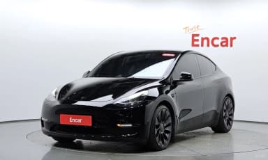 Model Y