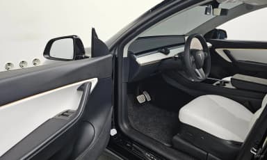Model Y