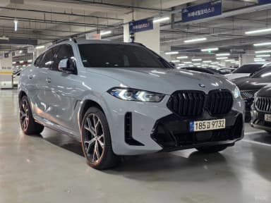 X6 (G06)