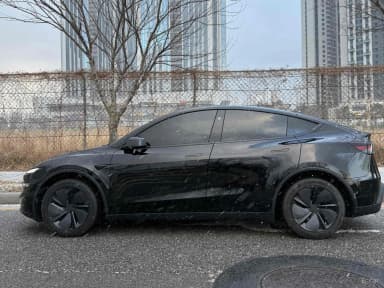Model Y