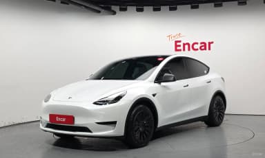 Model Y